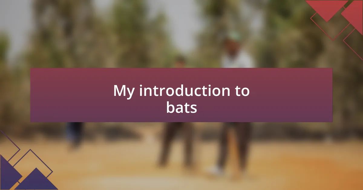 My introduction to bats