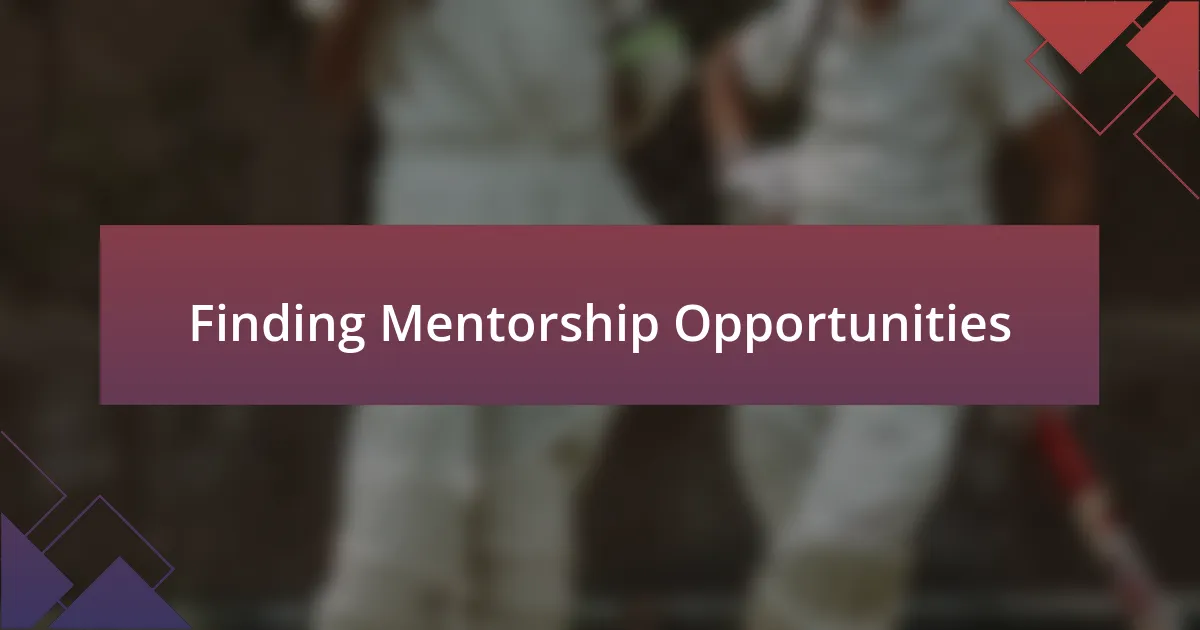 Finding Mentorship Opportunities